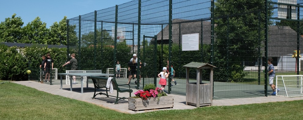 Panna cage and table tennis