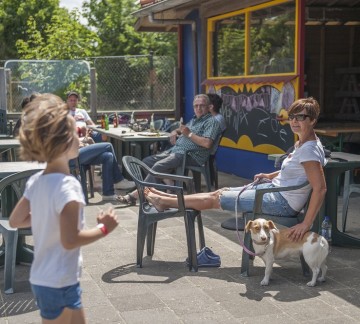 Terras Pierewiet