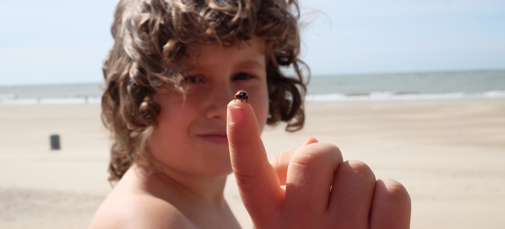 kind strand kind strand