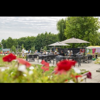 terras (2).jpg
