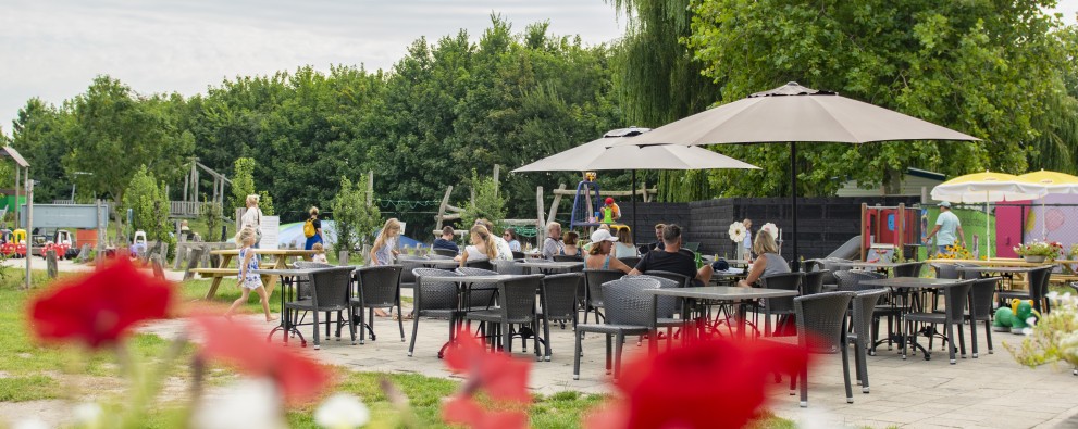 terras (2).jpg