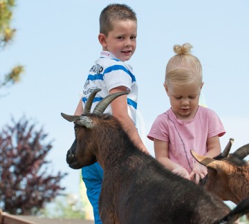 Kinderboerderij