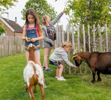 Geitjes voeren kinderboerderij Zeeland Camping familie vakantie